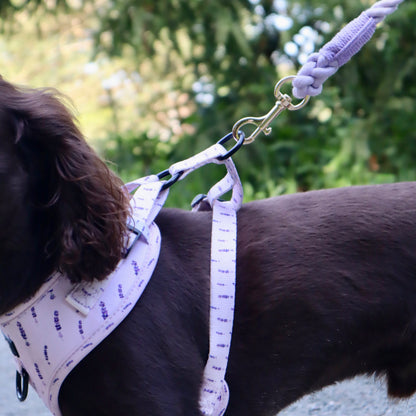 Adjustable Dog Harness - Lavender Haze