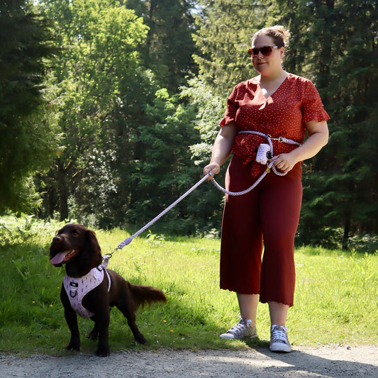 Multiway Dog Lead - Lavender