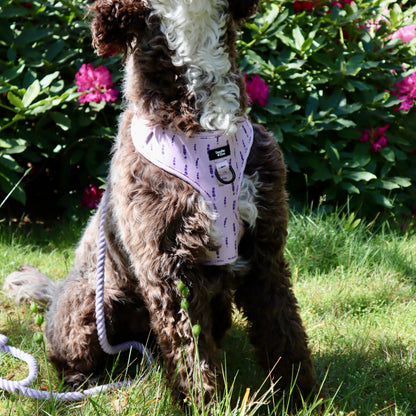 Adjustable Dog Harness - Lavender Haze