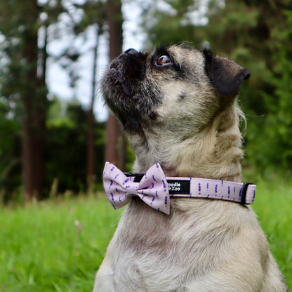 Dog Collar - Lavender Haze