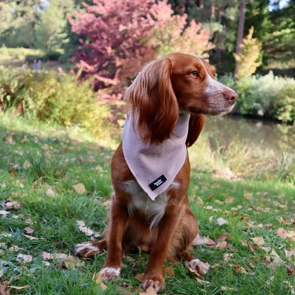 Dog Bandana - Rural Collection - Walnut